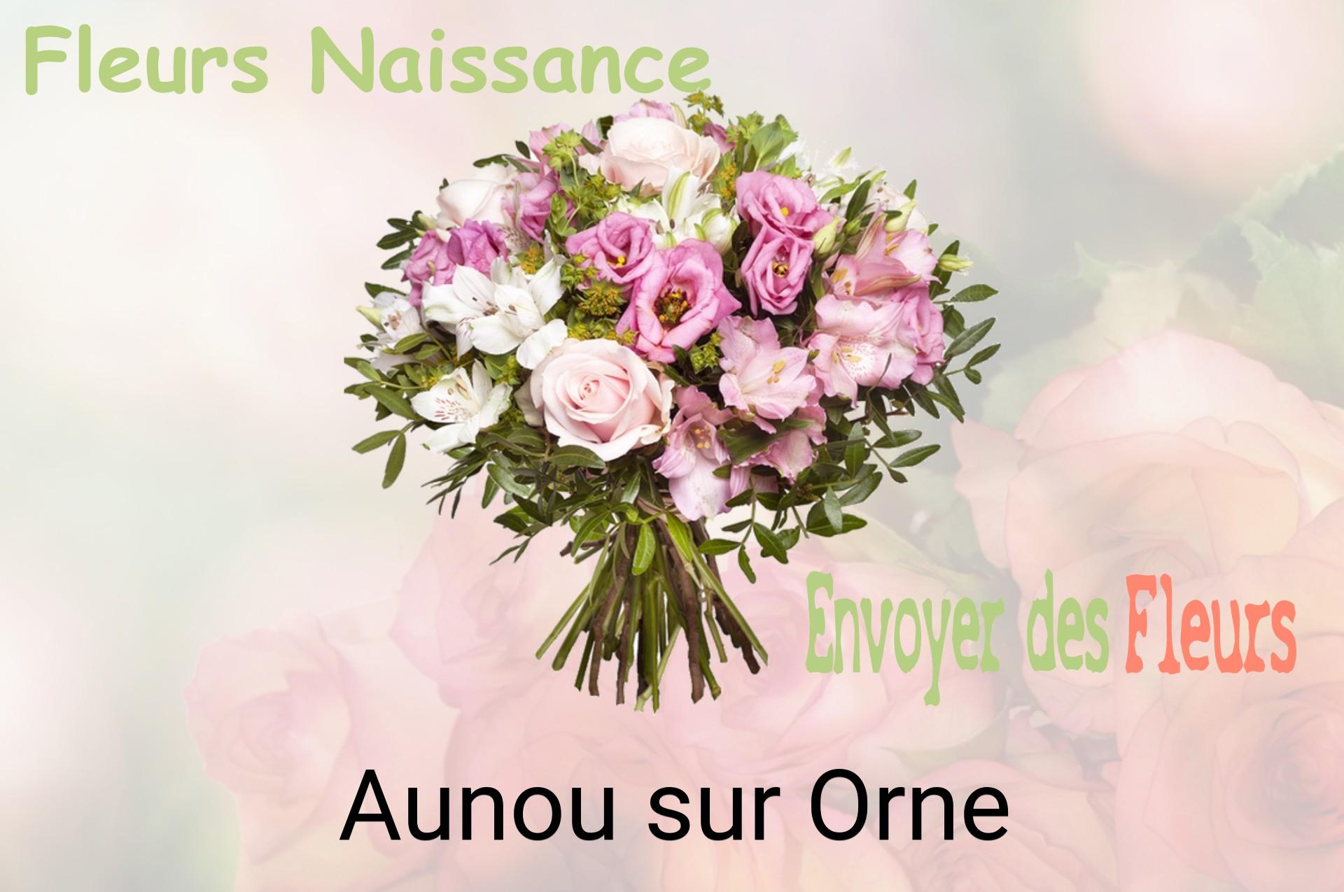 Bouquet de fleurs de naissance livré à Aunou-sur-Orne